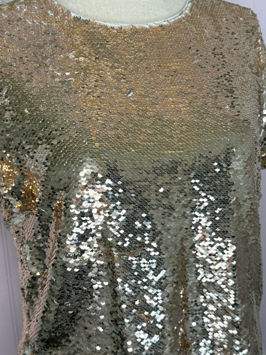 Ark & Co M Sequin Top